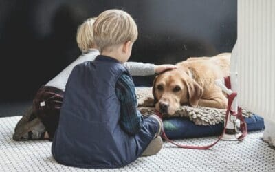 11 Best Dog Beds for Your Furry Friend's Ultimate Comfort and Sleep Satisfaction