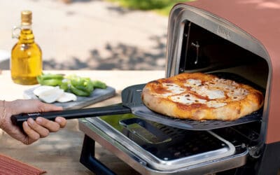 Ninja Woodfire Outdoor Pizza Oven Review