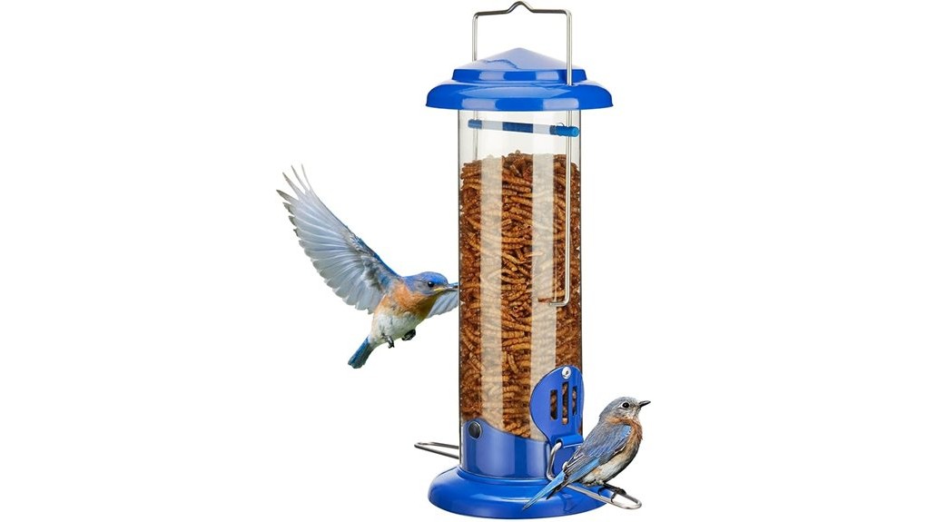 durable stylish bluebird feeder durable stylish bluebird feeder