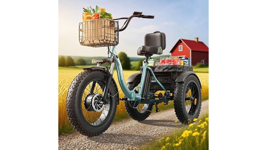 electric adult trike review