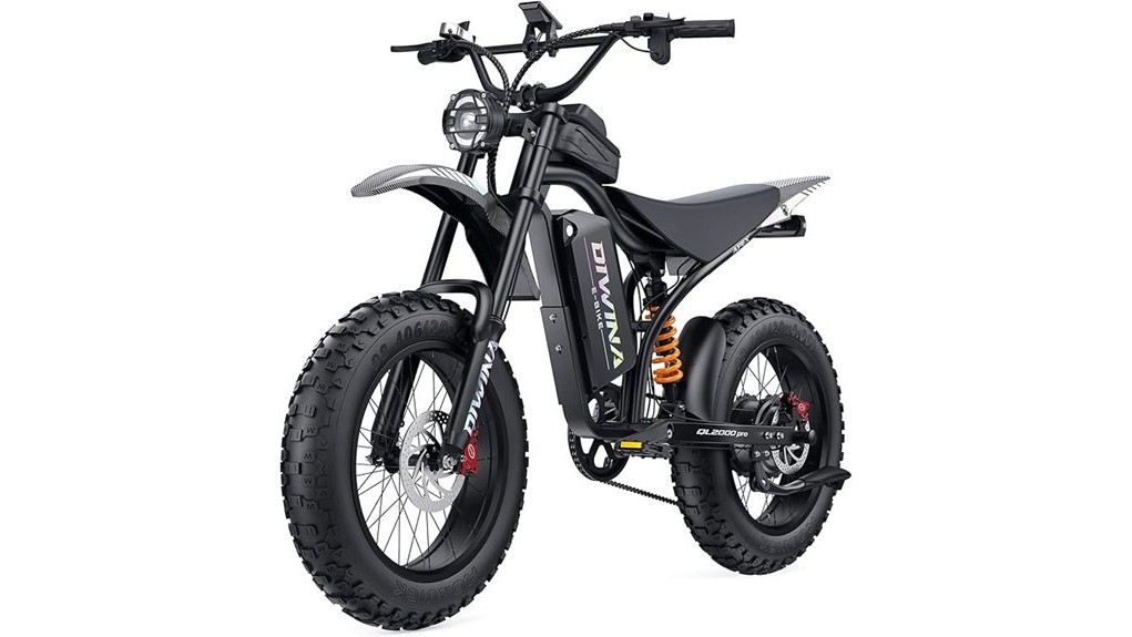 powerful 3000w adult electric bike